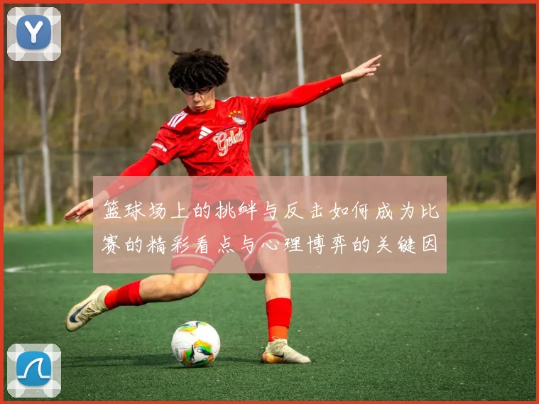 篮球场上的挑衅与反击如何成为比赛的精彩看点与心理博弈的关键因素