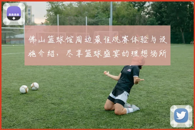 佛山篮球馆周边最佳观赛体验与设施介绍，尽享篮球盛宴的理想场所