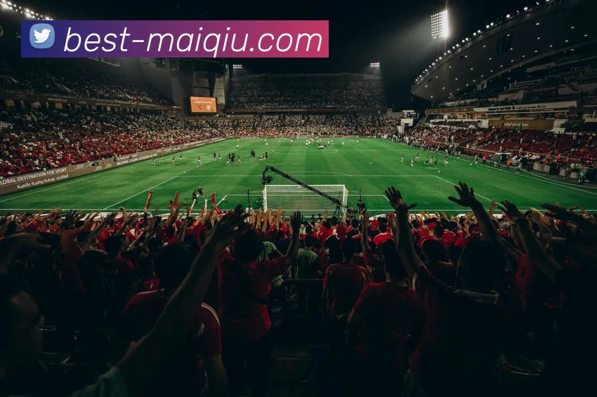 买球站发展历程